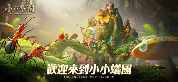 小小蚁国国际服经典版下载