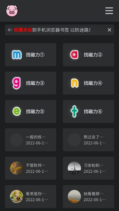 BT磁力猪免费下载
