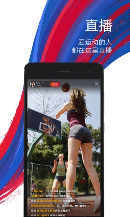 鹰和鹰图4