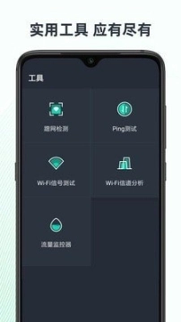 网络诊断大师图4