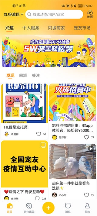 宠胖胖app下载