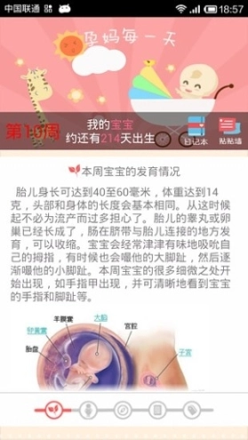 孕妈每一天图4