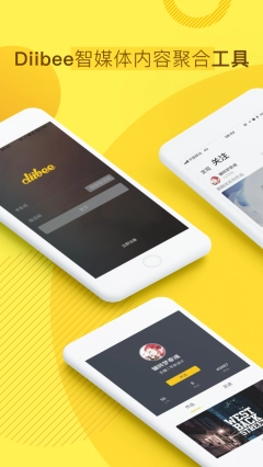 Diibee图5