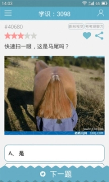 33IQ图2