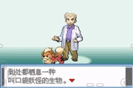 口袋妖怪永恒之焱完整版图2