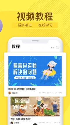 Diibee图3