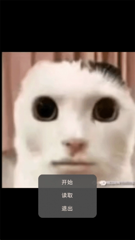 猫猫惊魂1.3最新版图2