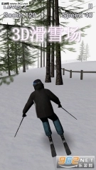 3D滑雪场安卓版手游下载