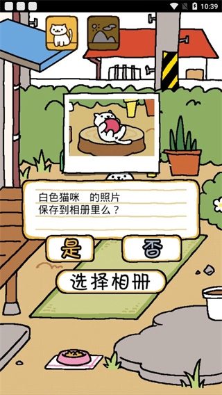 猫咪后院中文版手机下载