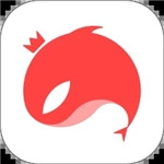 猎游陪玩 v5.2.9 安卓版