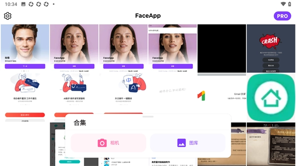 Face免费下载