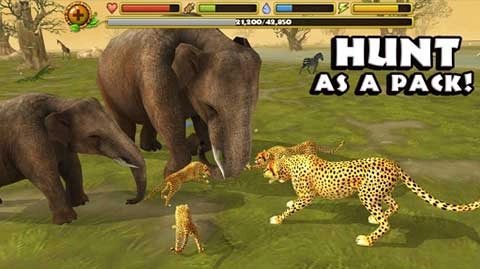 猎豹模拟器游戏(CheetahSim)旧版下载