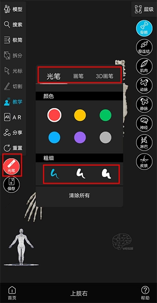 解剖大师安卓下载