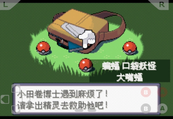 口袋妖怪黑暗之火随机版免费下载