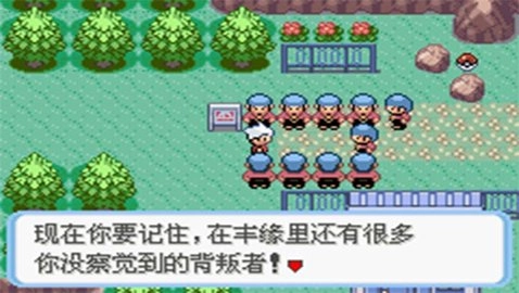 口袋妖怪蛇纹木手机版安装包下载