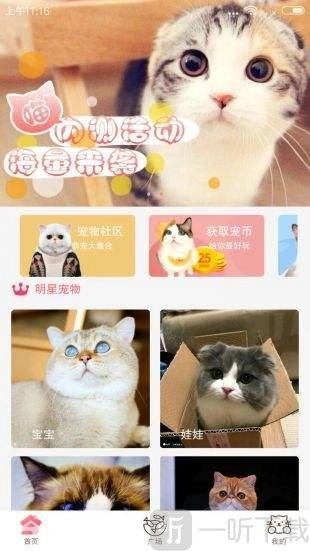 猫咪社区经典版下载