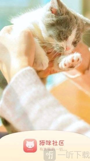 猫咪社区经典版下载