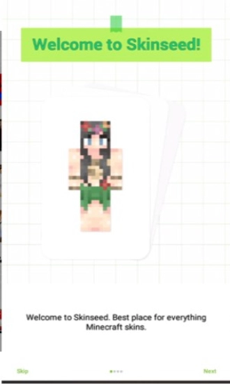 SkinseedV3.3.9下载