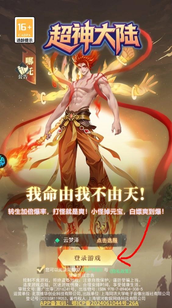 新手攻略截图1