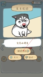 养只二哈不容易3 养只二哈不容易3