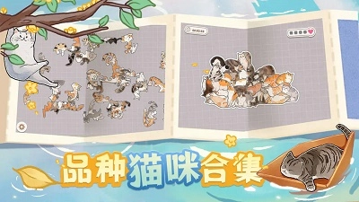 挤在一起的猫猫官方版下载