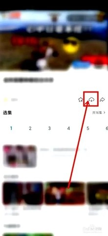 冬瓜影视 1.6.2 安卓版