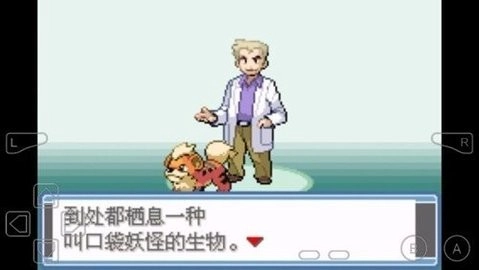 口袋妖怪永恒之焱随机版2025下载