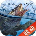 天天钓鱼