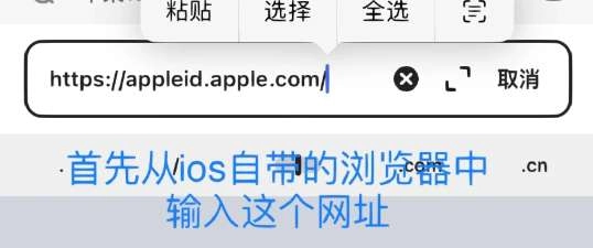 代号鸢港服免费版下载