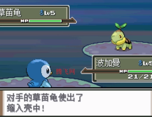 口袋妖怪白金汉化版rom