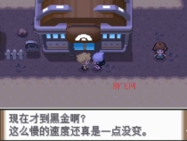 口袋妖怪白金汉化版rom