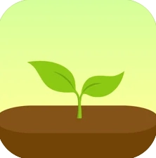 Forest专注森林