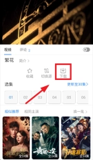 哇哇影视最新版