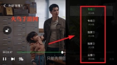 紫电视频正版