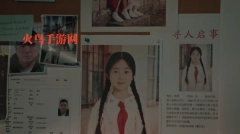 紫电视频正版