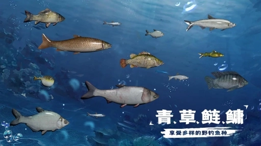 天天钓鱼正版安装下载
