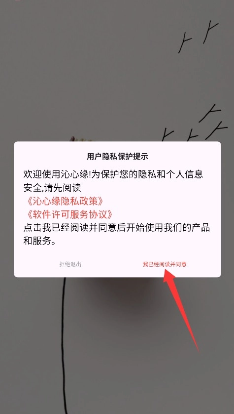 沁心缘安装包下载