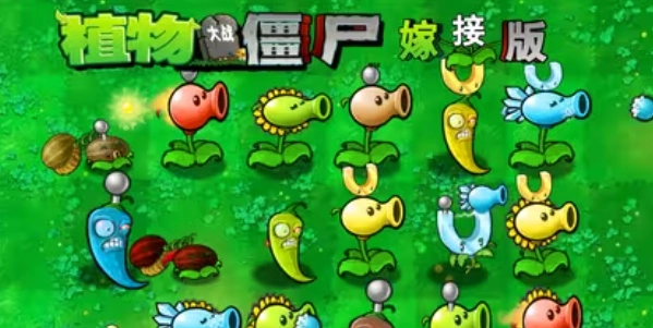 植物大战僵尸嫁接版安装包下载