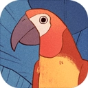 BirdAlone安卓2025最新版