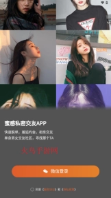 蜜感完整版下载