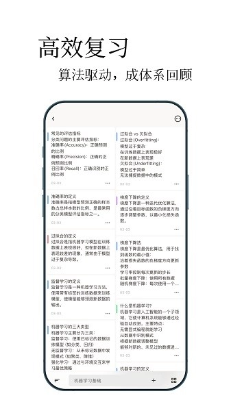 noolingo