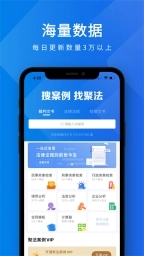 聚法案例