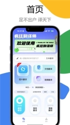 疯狂翻译师