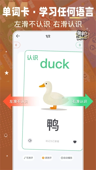 单词鸭