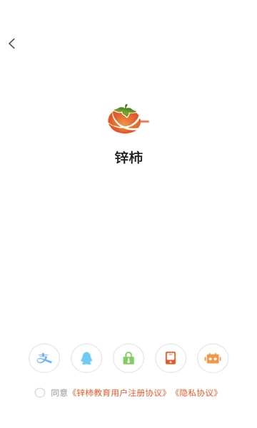 锌柿