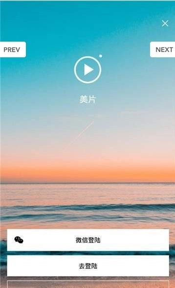 美片