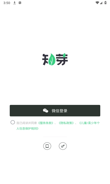 知芽盆栽
