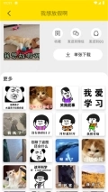 悦动表情包