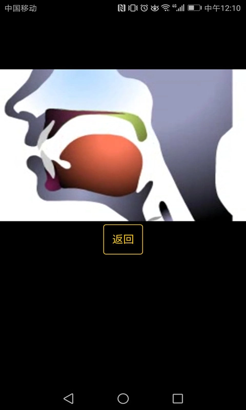 英语国际音标学习-英语入门课
