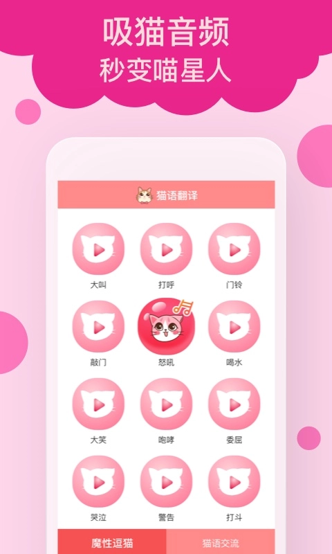 猫语翻译官